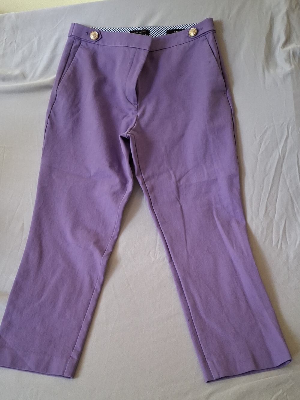 Ann Taylor Men’s Purple Chinos with Button Waist